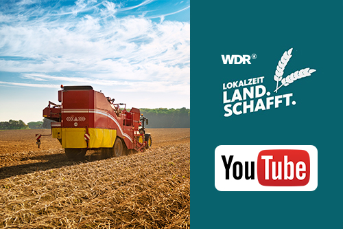 Kartoffelernte 2023: Beitrag auf YouTube bei WDR Lokalzeit Land.Schafft.